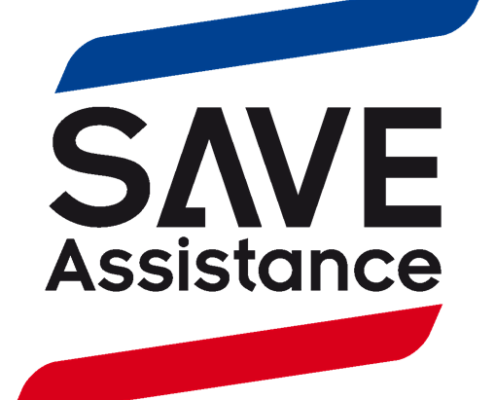 Logo save